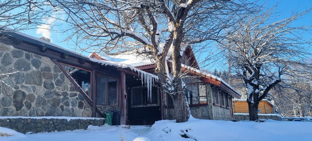Casa Bunicului *