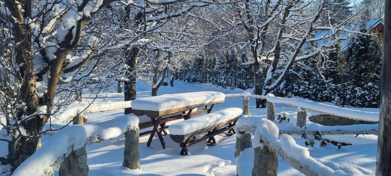 Alloggio per agriturismo Casa Bunicului Vistisoara