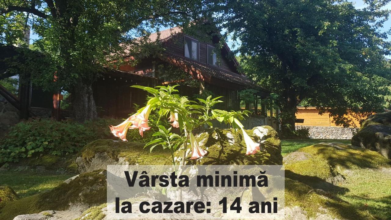 Alloggio per agriturismo Casa Bunicului *