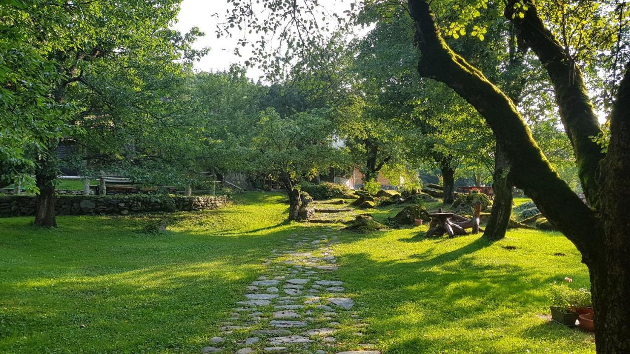Alloggio per agriturismo Casa Bunicului *